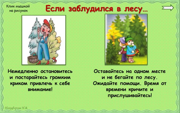 Если заблудился в лесу