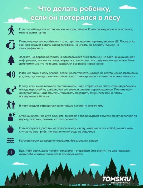 Что делать если заблудился в лесу