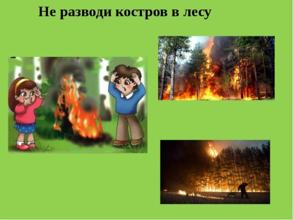 Нельзя разжигать костёр в лесу