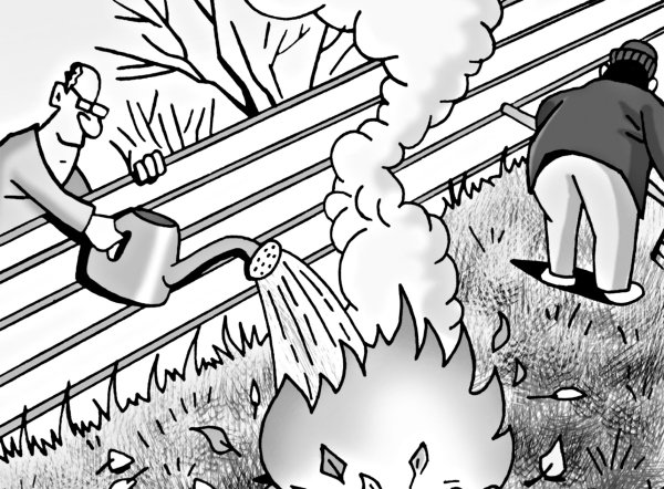 Не сжигать сухую траву рисунок