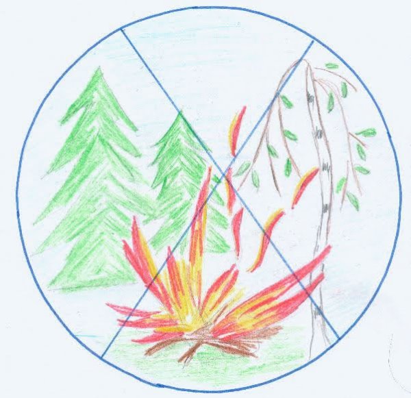 Рисунок на тему не разжигайте костры в лесу