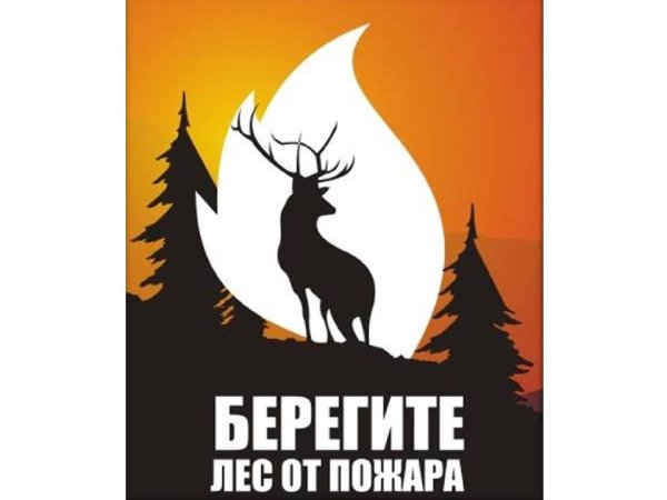 Береги лес от пожара