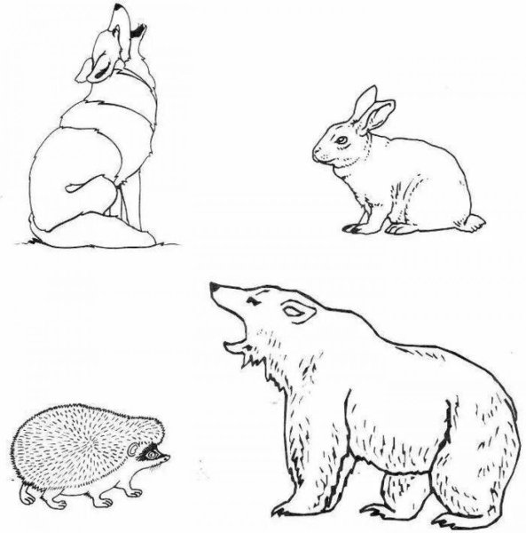 Схематичное изображение животных