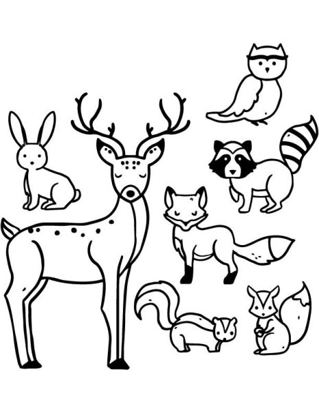 Раскраска Лесные животные
