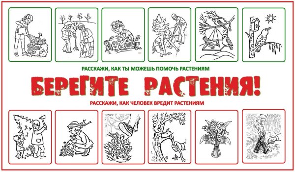 Плакат берегите растения