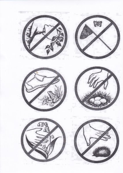 Экологические знаки