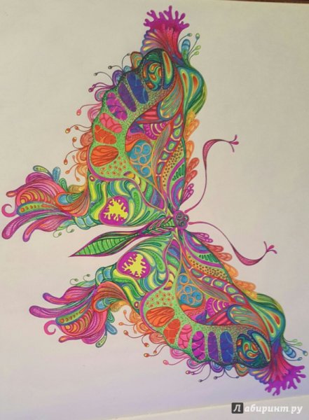 За кроликом в сказочный лес