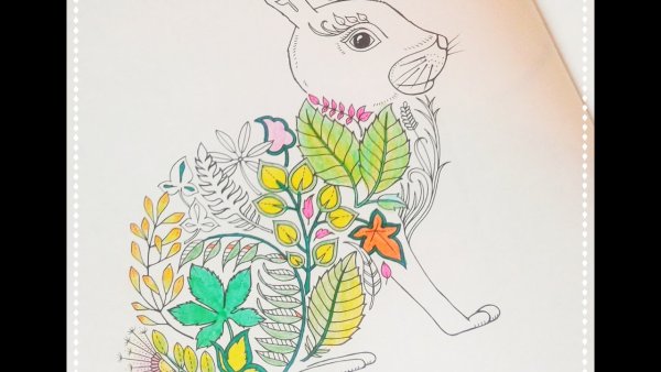 Зачарованный лес заяц