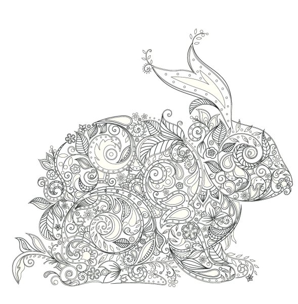 За кроликом в сказочный лес Эксмо