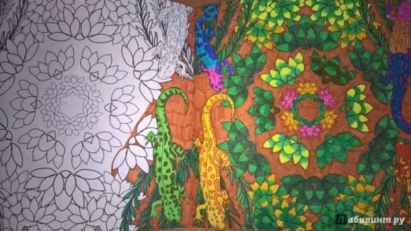 Загадочный лес антистресс