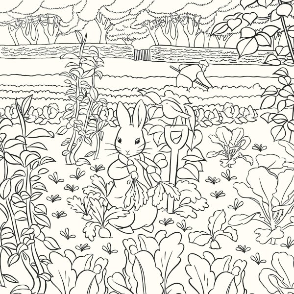 The Beatrix Potter Coloring book