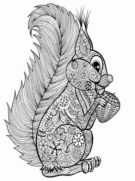 Белочка антистресс