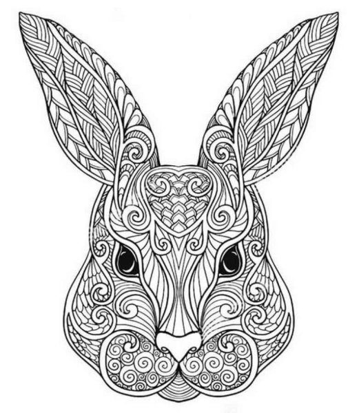 Раскраска антистресс кролик