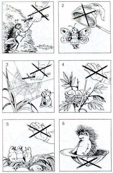 Знаки поведения в природе раскраска