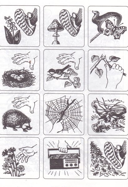 Экологические задания для дошкольников