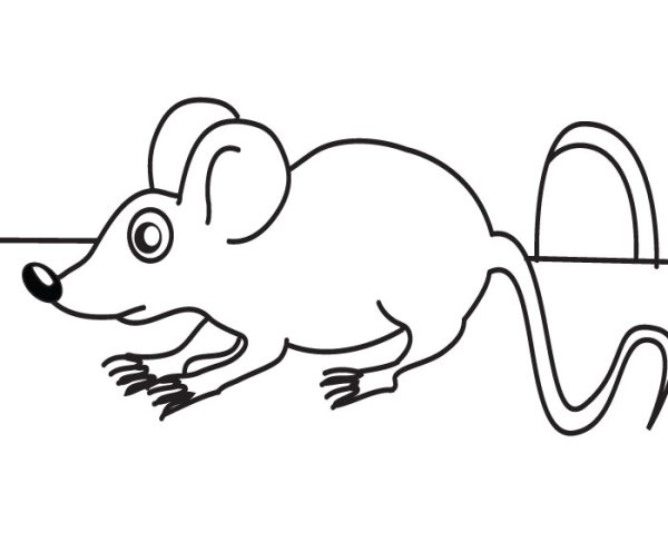 Мышка в норке раскраска для детей