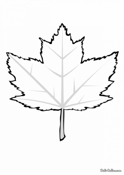 Кленовый лист раскраска для детей
