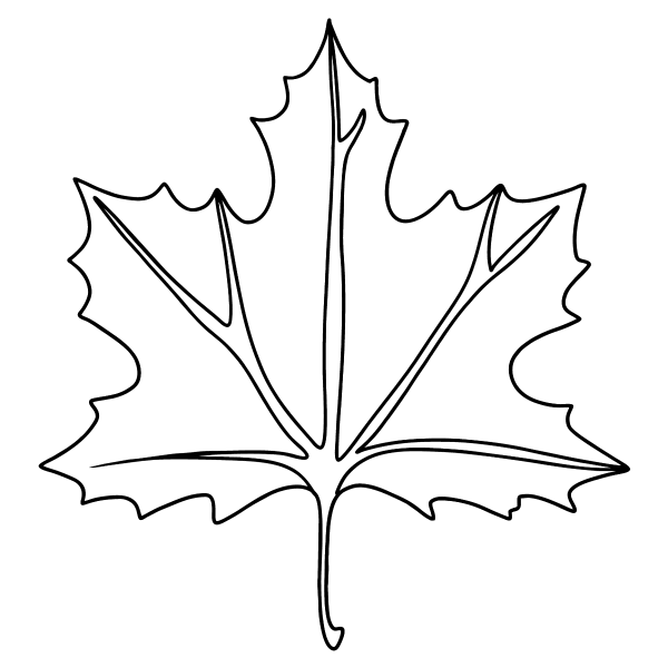 Кленовый листик раскраска