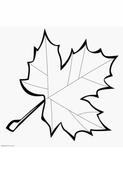 Кленовый лист раскраска