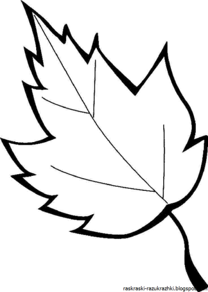 Листья рисунок