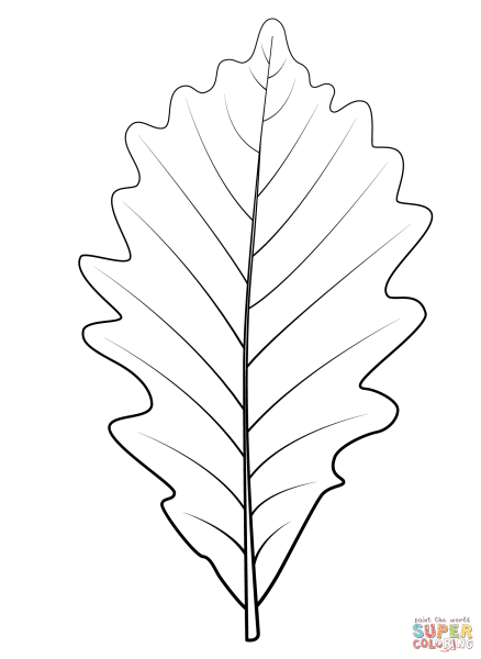Дубовый лист раскраска для детей