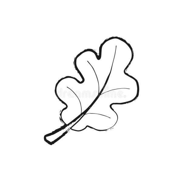 Лист дуба контур