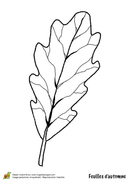 Лист дуба для раскрашивания