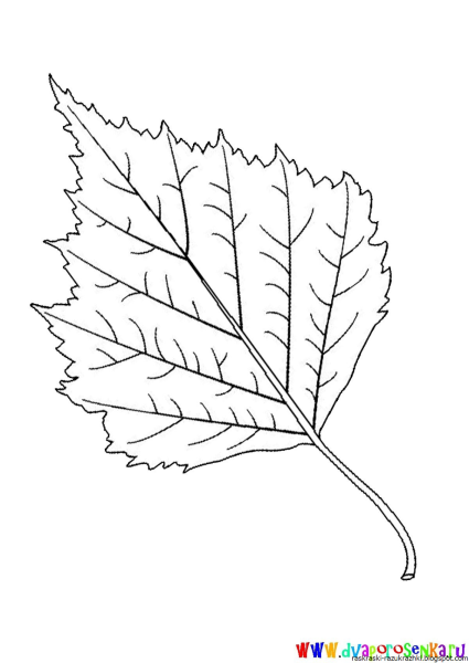 Листья раскраска для детей