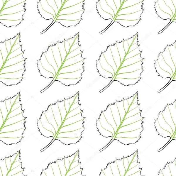 Березовый лист шаблон