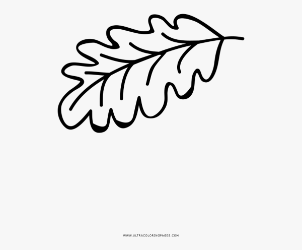 Дубовый лист трафарет