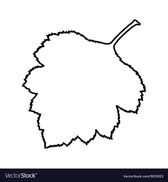 Лист березы контур