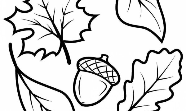 Контур осени раскраска