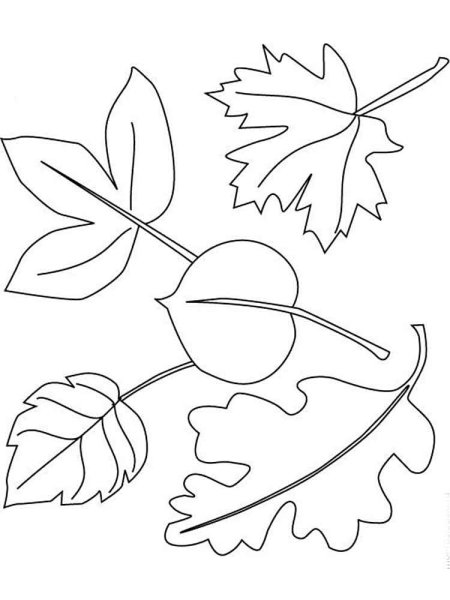 Осенние трафареты для детского сада