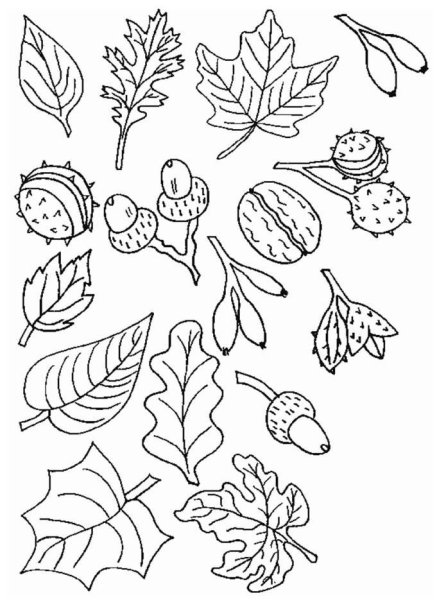 Осенняя раскраска