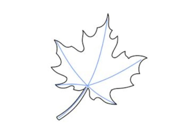 Кленовый лист раскраска