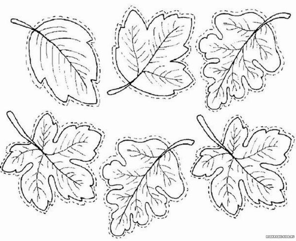 Трафареты осенних листьев