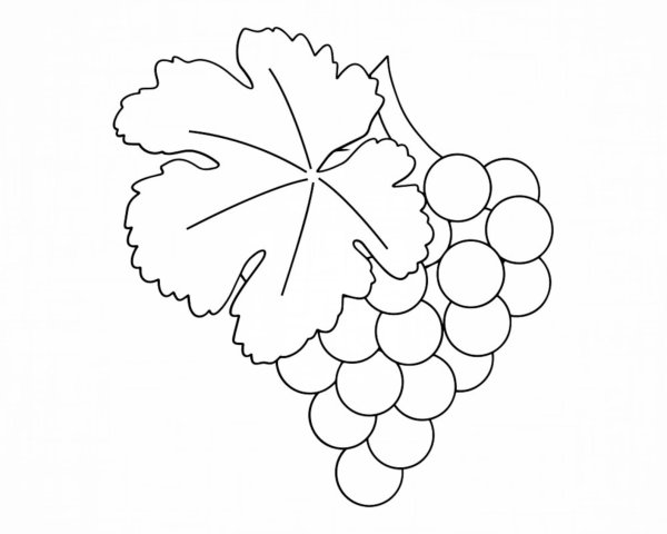 Лист винограда раскраска