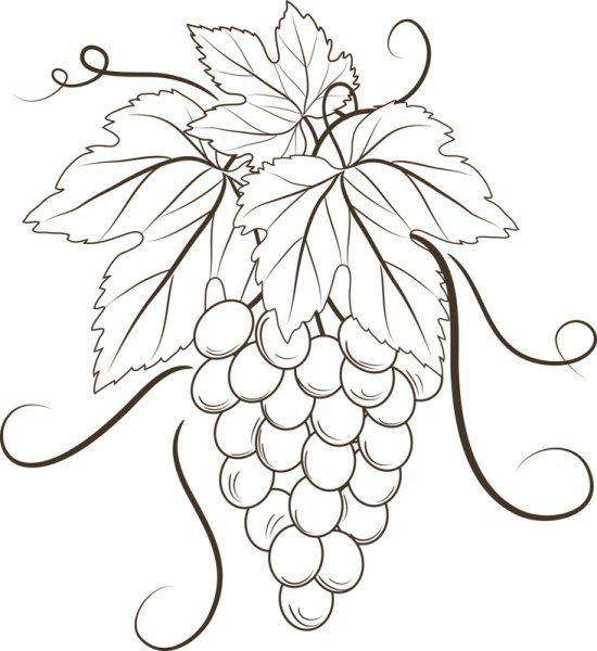 Трафареты для выжигания по дереву виноград
