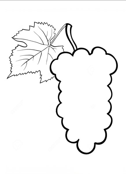 Гроздь винограда контур