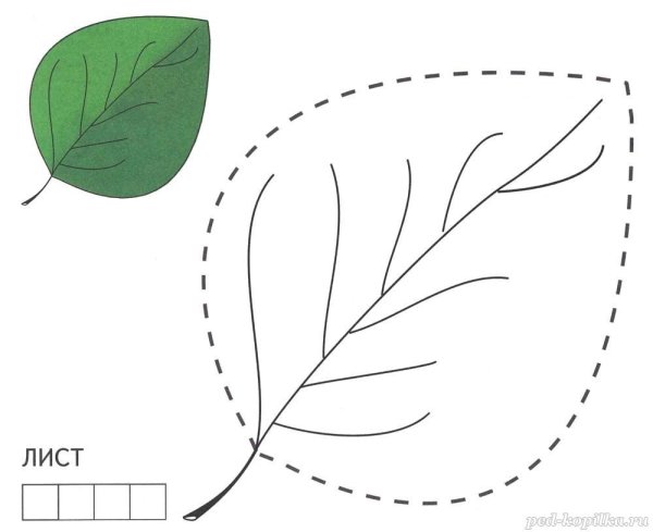 Лист с пунктиром