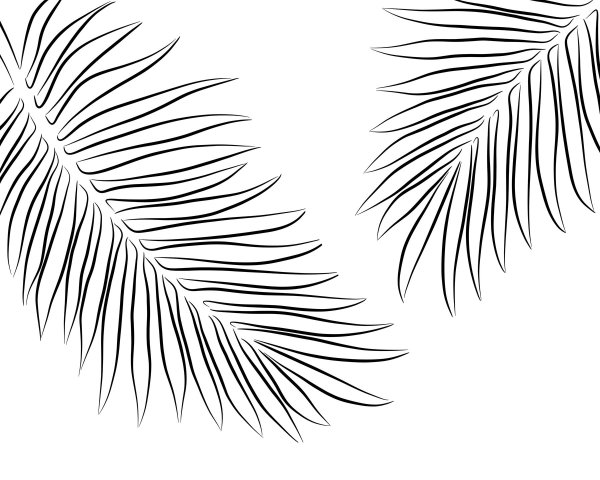 Лист пальмы трафарет