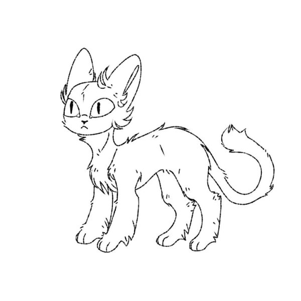 Лайны для адоптов