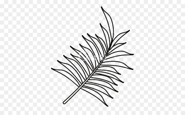 Лист пальмы контур