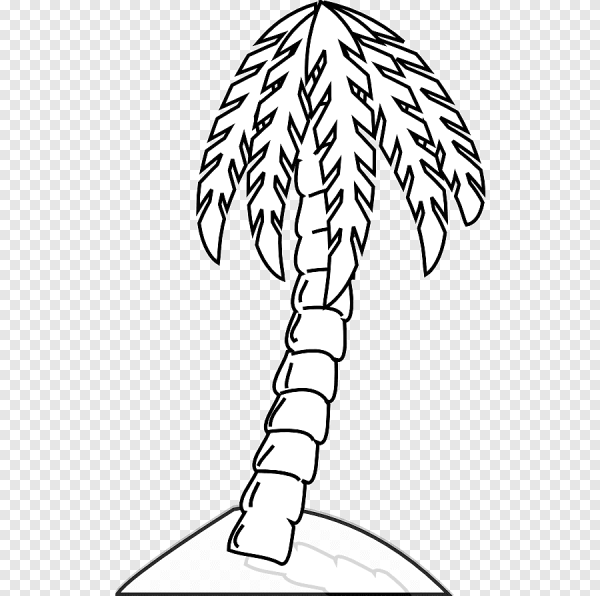 Пальма рисунок карандашом