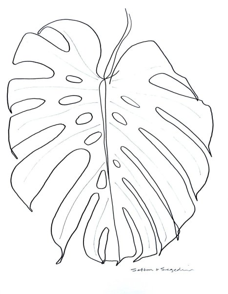 Монстера трафарет