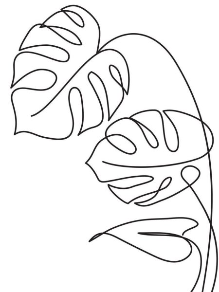 Монстера одной линией