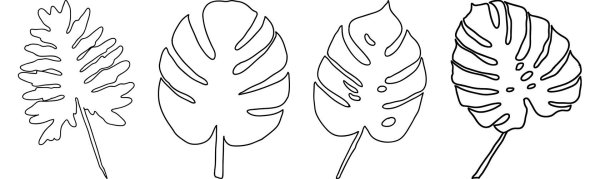 Лист монстеры контур