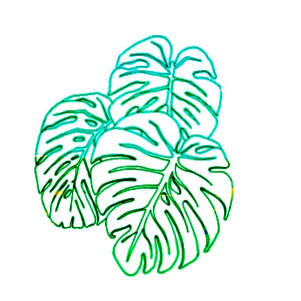 Monstera Leaf контур