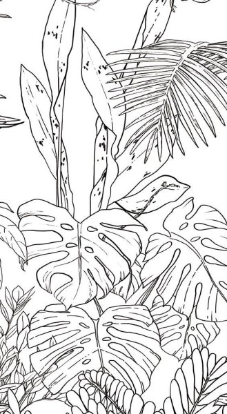 Тропические листья контур