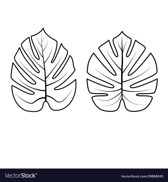 Лист монстеры для вырезания